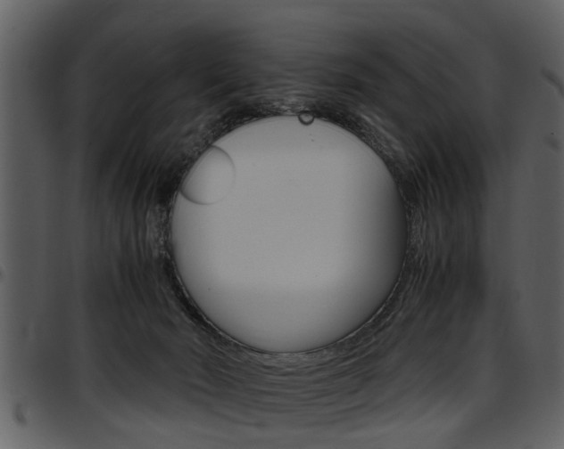 X0000097640030200802290833