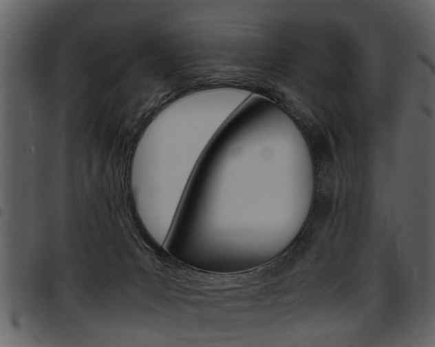 X0000097640031200802290833