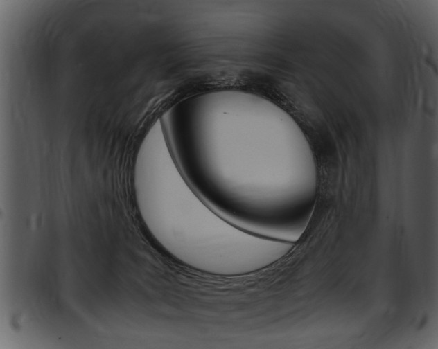 X0000097640035200802290833