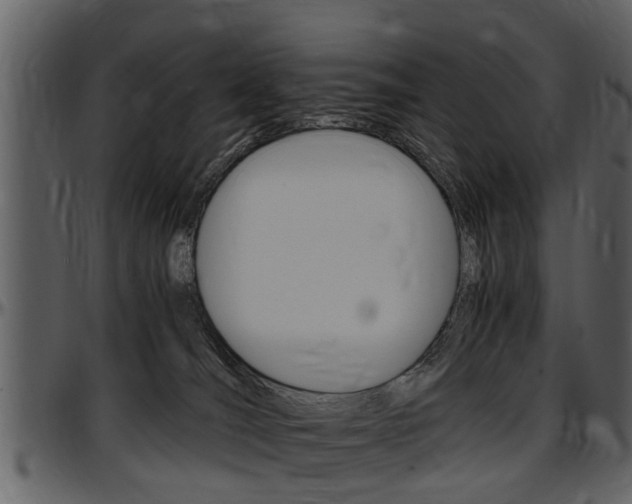 X0000097640036200802290833