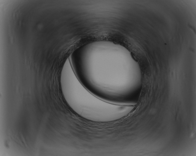X0000097640037200802290833