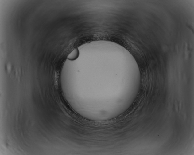 X0000097640038200802290833