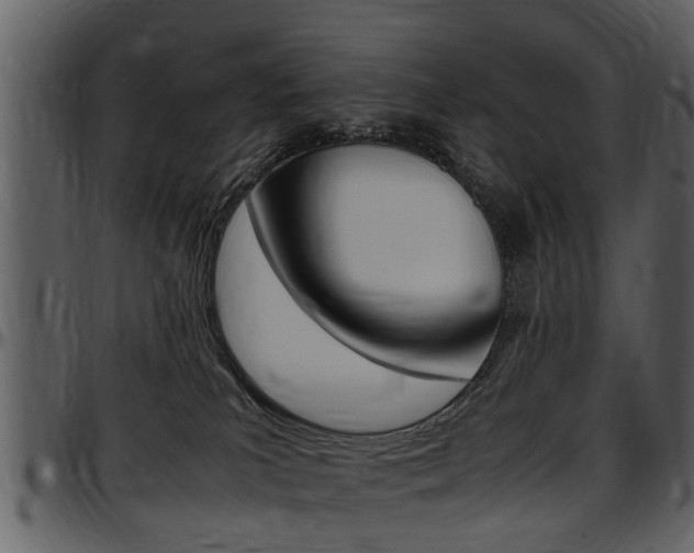 X0000097640039200802290833