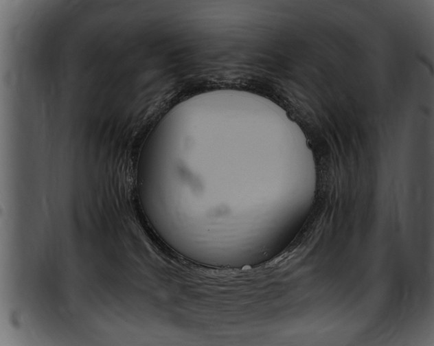 X0000097640040200802290833