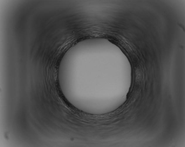 X0000097640043200802290833
