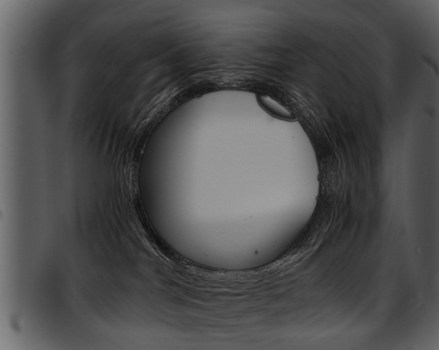 X0000097640044200802290833
