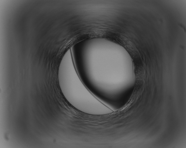 X0000097640045200802290833