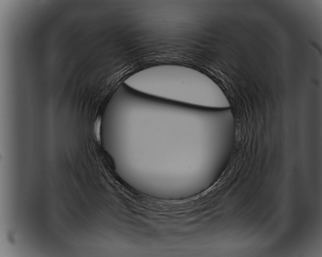 X0000097640047200802290833