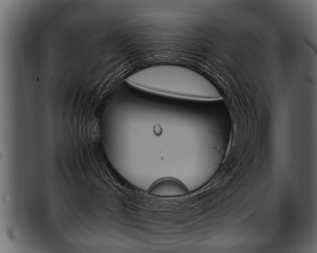 X0000097640048200802290833