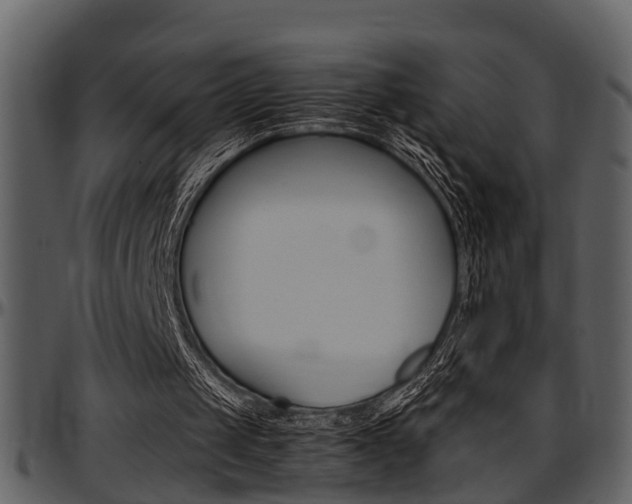 X0000097640049200802290832