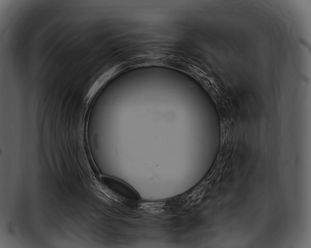 X0000097640051200802290832