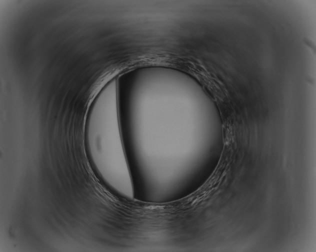 X0000097640052200802290832