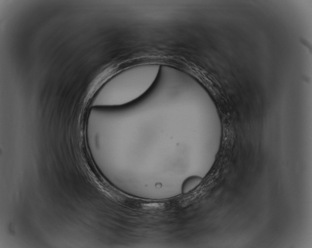 X0000097640053200802290832