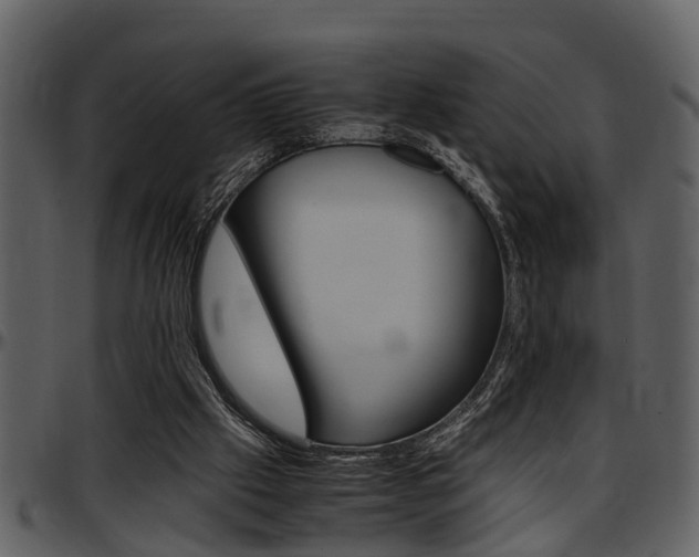 X0000097640057200802290832