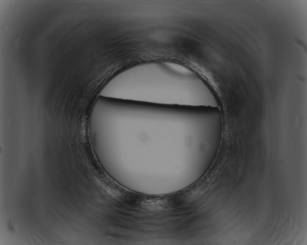 X0000097640065200802290832