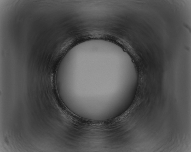 X0000097640066200802290832