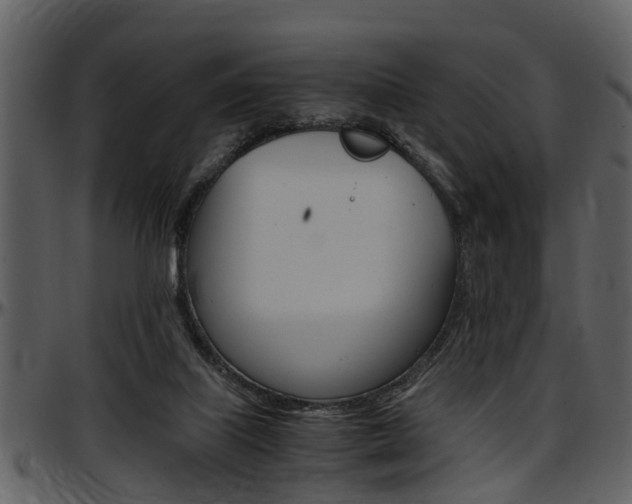 X0000097640067200802290832