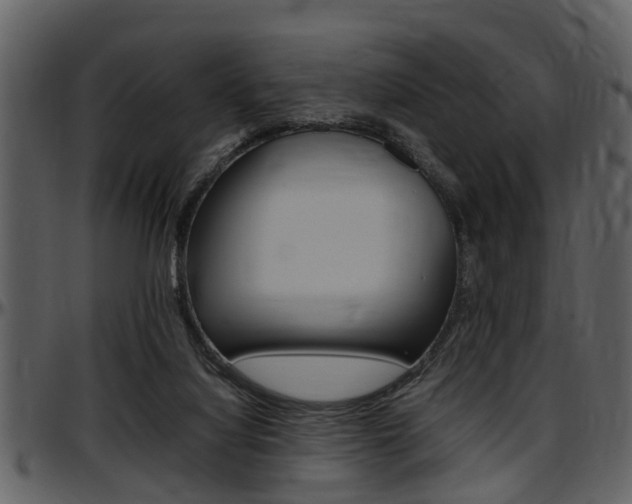 X0000097640068200802290832