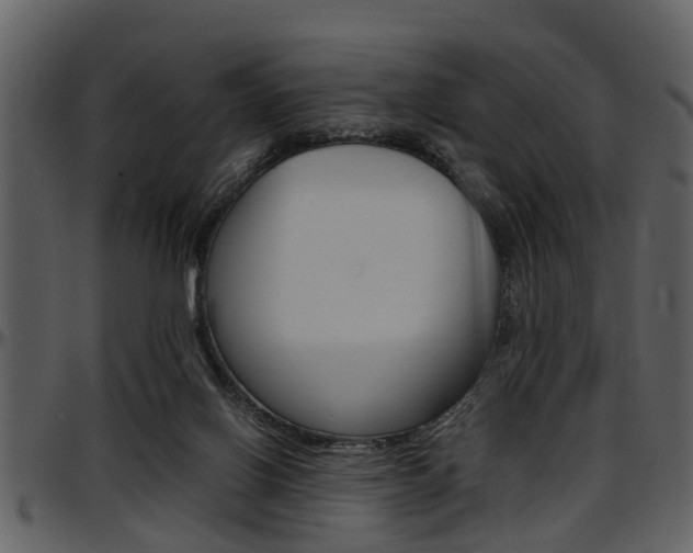 X0000097640070200802290832