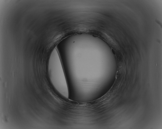 X0000097640072200802290832