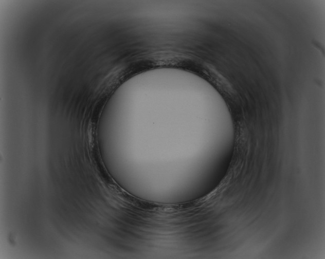 X0000097640074200802290832
