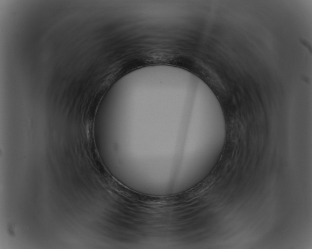 X0000097640075200802290832