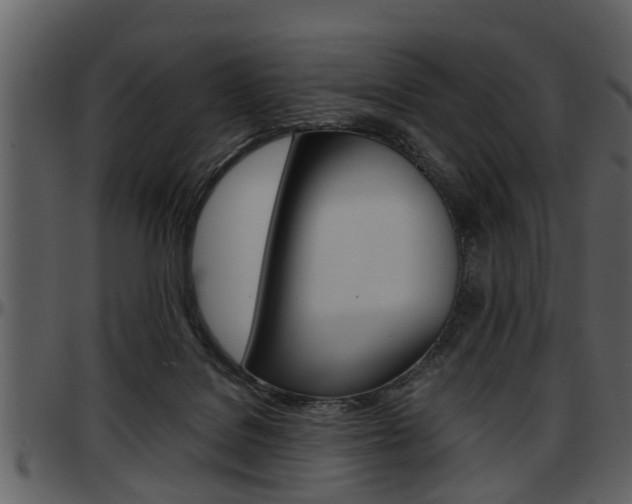 X0000097640076200802290832