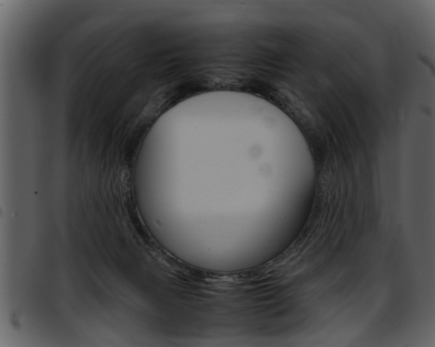 X0000097640079200802290832