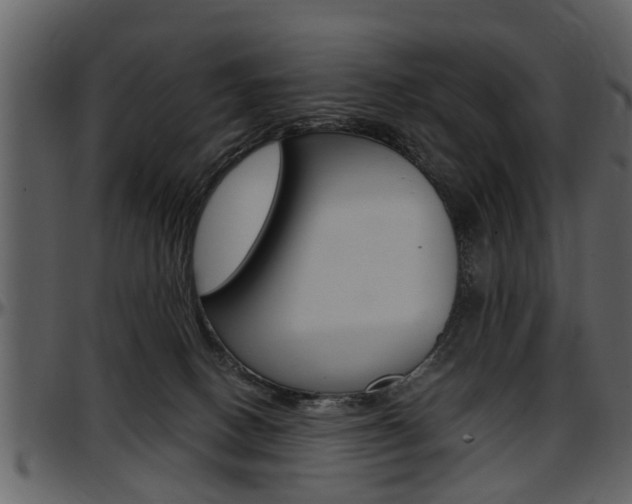 X0000097640082200802290832