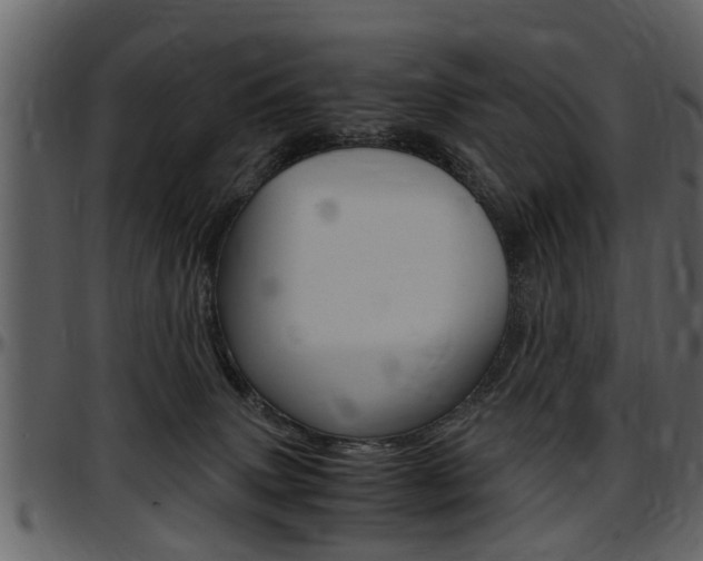 X0000097640083200802290832