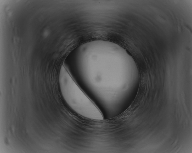 X0000097640084200802290832