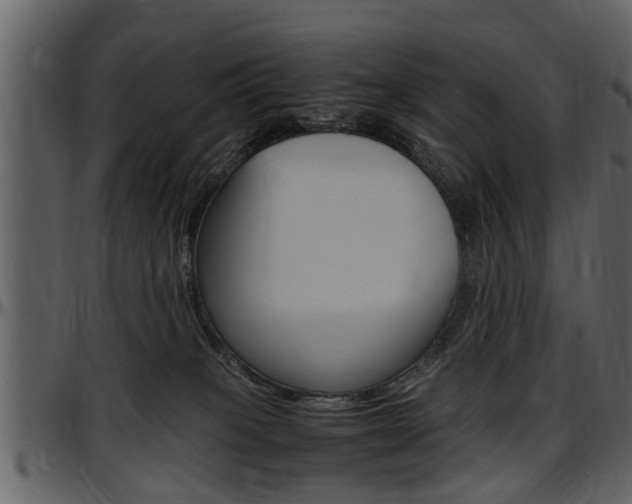 X0000097640085200802290833