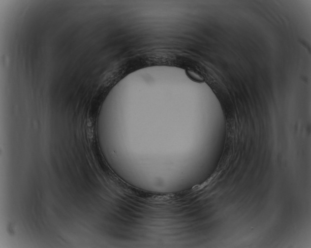 X0000097640086200802290833