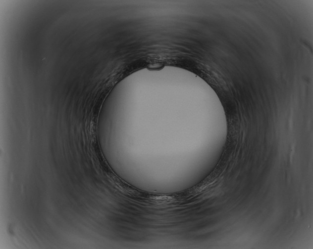 X0000097640087200802290833