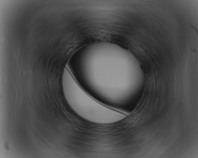 X0000097640088200802290833