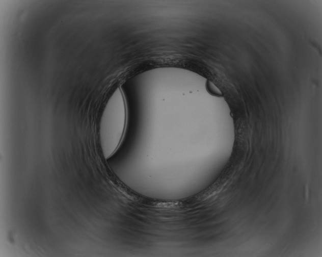 X0000097640089200802290833