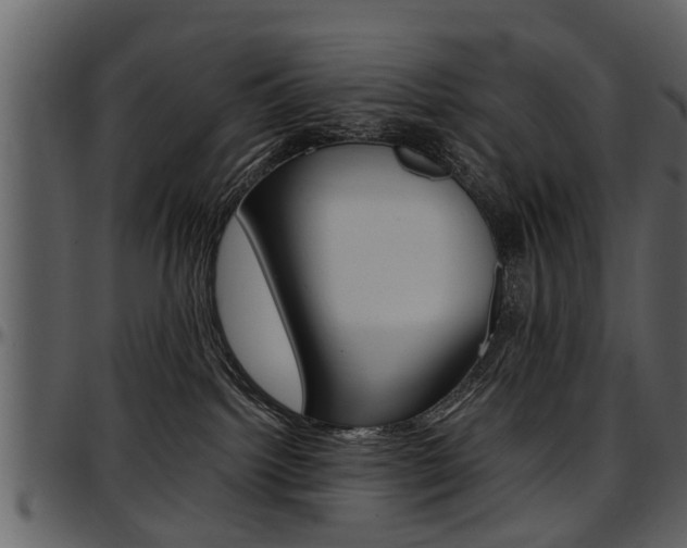 X0000097640092200802290833
