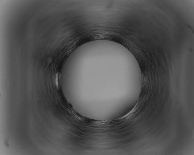 X0000097640094200802290833