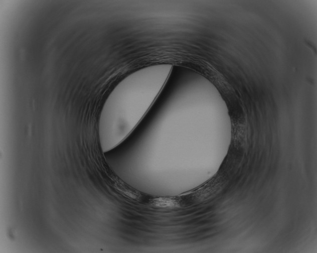 X0000097640095200802290833
