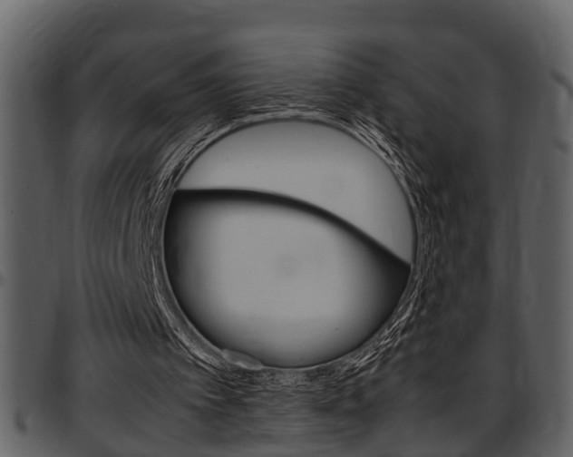 X0000097640097200802290832