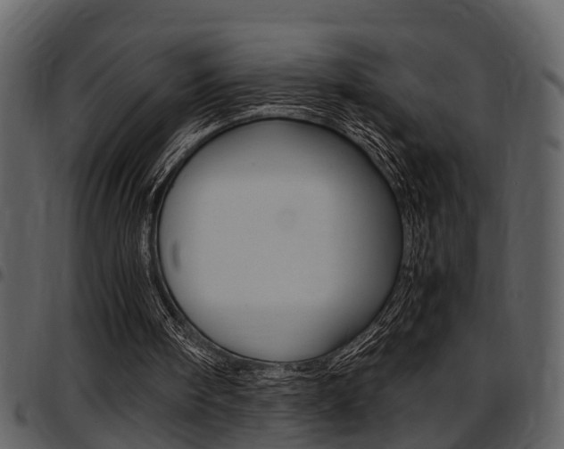 X0000097640098200802290832