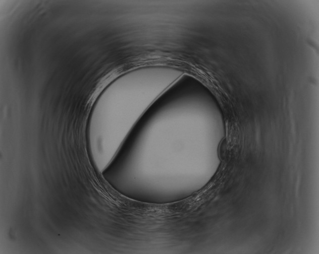 X0000097640099200802290832