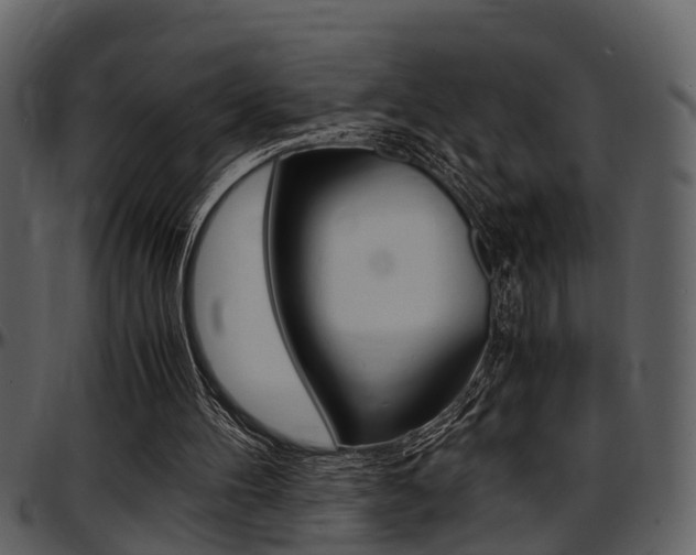X0000097640100200802290832