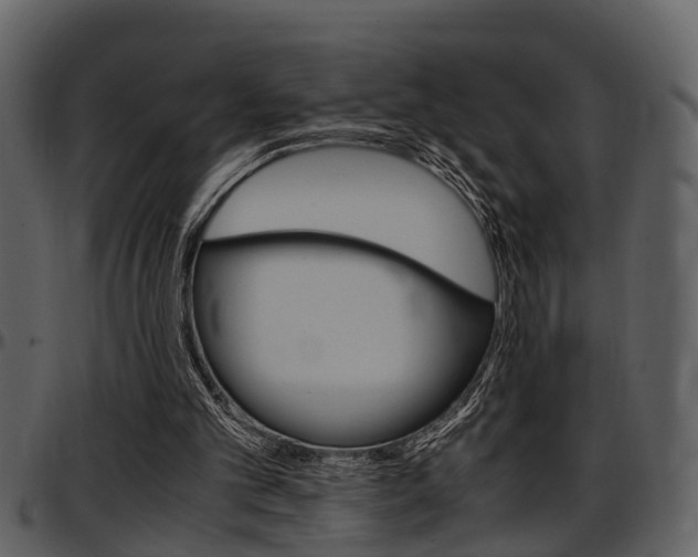 X0000097640101200802290832