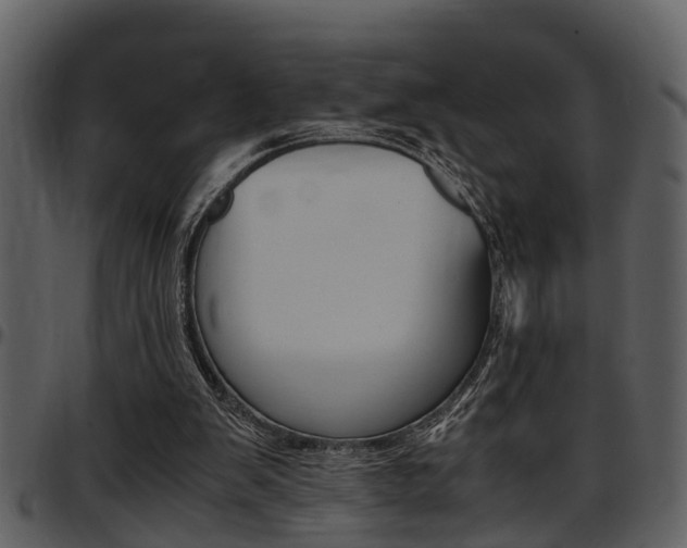X0000097640103200802290832
