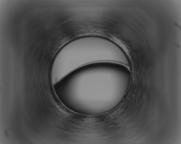 X0000097640105200802290832