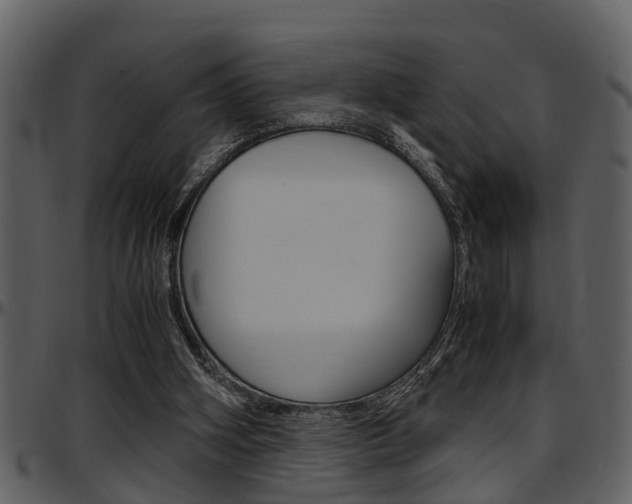 X0000097640106200802290832