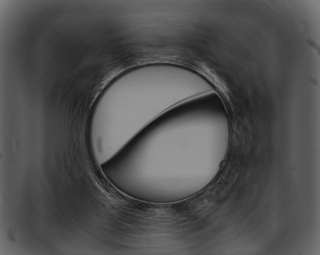 X0000097640107200802290832