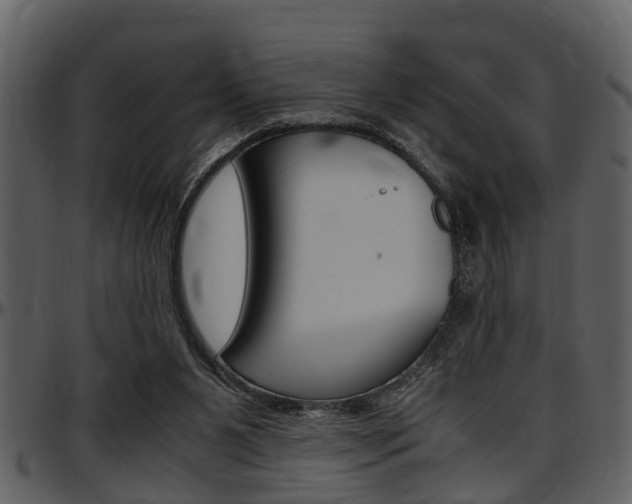 X0000097640111200802290832