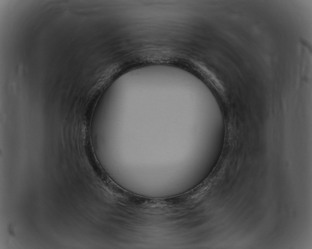 X0000097640113200802290832